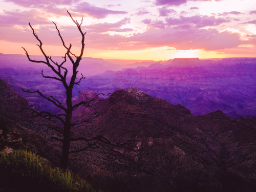 leahberman:  When the sun is in my eyes, will we still be dancing Grand Canyon, Arizona instagram 