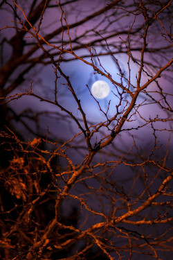 immortal-autumn:  moon | via Tumblr on We Heart It. 