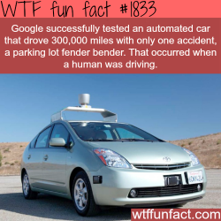 wtf-fun-factss:  Google’s self driving car - WTF fun facts