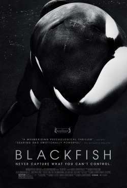 animalcruelty-notok:  Blackfish Ignored by Oscars The biggest