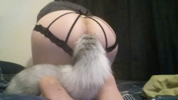 naughty-nerdy-pet:I haven’t worn my tail in ages…so here,