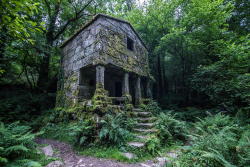 abandonedography:  An overgrown structure deep in the forest