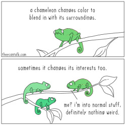 theycantalk:  blending in