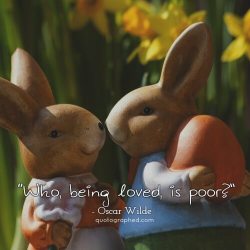 quotesinphotographs:  “Who, being loved, is poor?”  - Oscar