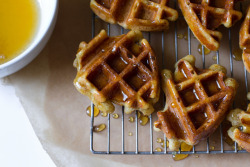 ransnacked:  honey-dipped doughnut waffles | edible perspective