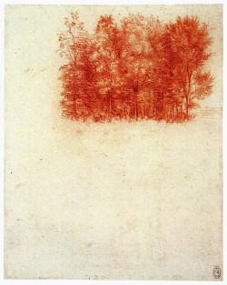 last-picture-show:  Leonardo da Vinci, A Copse of Trees, 1502
