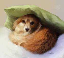 furrywolflover:  Pillow hat :> [OLD] - by mondeis 