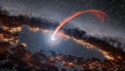 just–space:  Infrared Echoes of a Black Hole Eating a Star