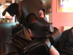 puppixel: I had the pleasure of holding the adorable @puplucas