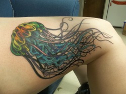 fuckyeahtattoos:  Jellyfish done at Alter Ego Tattoo and Body