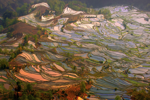 nubbsgalore:  the remote, secluded and little known rice terraces of yuanyang county in chinaâ€™s yunnan province were built by the hani people along the contours of ailao mountain range five hundred years ago. during the early spring season, the terraces