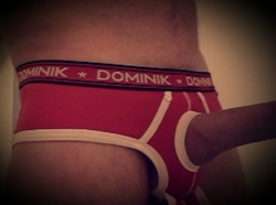 My favorite undies.   Unfortunately my cock only partly made