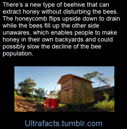ultrafacts:  Source Follow Ultrafacts for more facts 