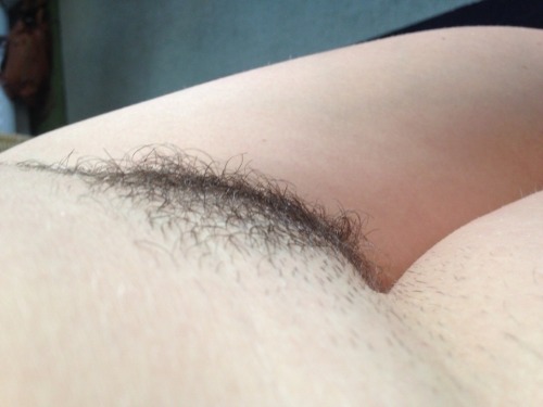 confessionsofateenperv:  Im growing my bush…. heres how it looked this morning :) http://confessionsofateenperv.blogspot.co.uk/ please please please reblog my posts…. i want to get lots of followers :) 