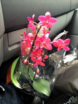 I just bought some flowers for mothersday tomorrow <3