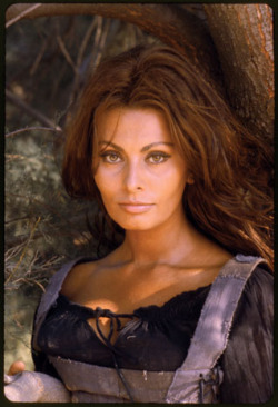 blackpanty:  Sophia Loren  Loren was photographed in Matera,