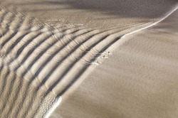 Come on and take a free ride (surfing the tidal bore in Upper