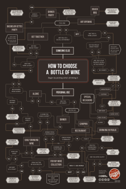 t-campbell:  boujhetto:  Wine 101  How-to Choose How-to Pair