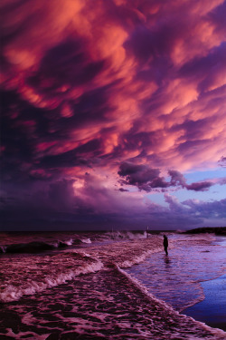 lensblr-network:  After a huge storm the sky turned pink and