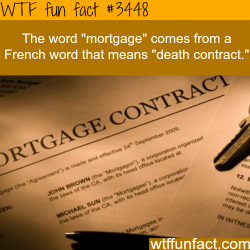 wtf-fun-factss:  The origin of the world “Mortgage” -  WTF