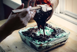 do-not-touch-my-food:  Fudgy Mint Chocolate Chip Ice Cream Cake