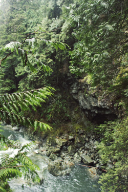 matchbox-mouse:  Standing over the rushing water. On a hike in