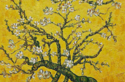 goodreadss:Vincent van Gogh “Branches of an Almond Tree in