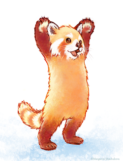 margaritash:aaah, I can’t stop to draw red pandas )))