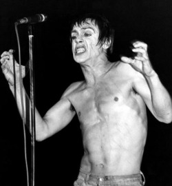 dailyiggypop:  October 6, 1977 Iggy Pop at the Palladium, New