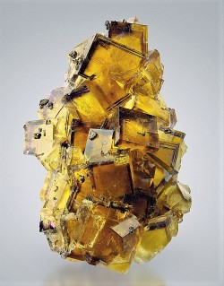 bijoux-et-mineraux:  Phantom Fluorite -  Bergmännisch Glück