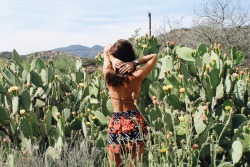 mahinabeams:  Cactus in bloom is magic