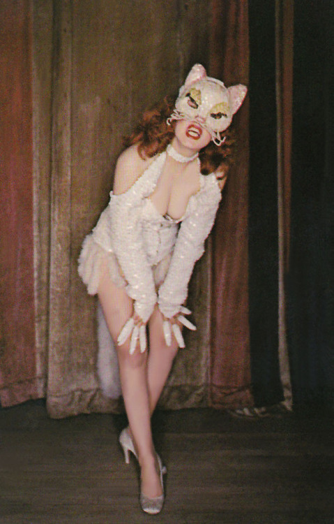 Shirley Hayes            aka. “The Pussy Cat Girl” As featured in the vintage ‘Burlesque Historical Company’ postcard series..