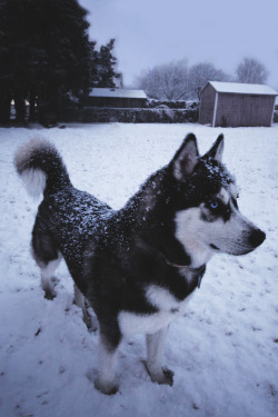 envyavenue:  Snow Days | Instagram  He&rsquo;s so pretttyyyy