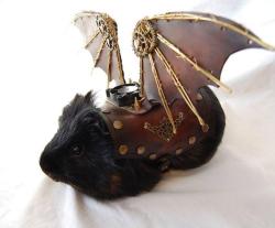 geekygodmother:  Beware the Sky Pirate Pig !! Owned and wings