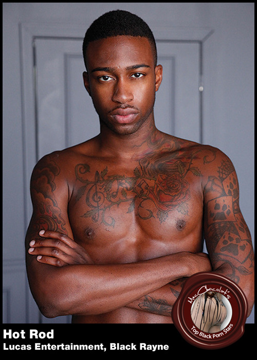 mecchocolat:  TOP 50 BLACK GAY PORN STARSGuys 21 -30 Included in this group is a guy called Daddy. And trust me, give him five minutes and you’ll want to call him that too. Brick is included in this group and he definitely should be featured in more