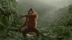 calvalley858:  ~ it’s Friday ~ Happy dance 