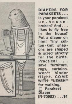 coelasquid:  thepieshops:  Diapers For Parakeets…Part 1 in