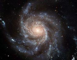 just–space:  Pinwheel Galaxy: the largest and most detailed