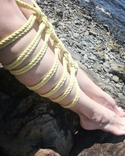 tieduptee:  Oceanside Shibari with my pretty yellow rope from
