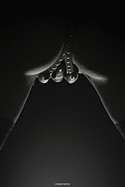 bluewatergirl:  http://bluewatergirl.tumblr.com/pearls