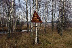 lesnienka:Chernobyl exclusion zone