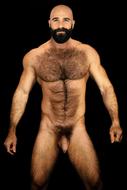 letsadonisbear:  View Full Post on “You Gay Bear” See More