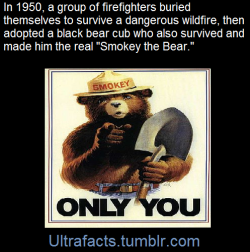 ultrafacts:  The Capitan Gap Fire was a 17,000 acres forest