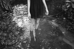 solitaria:  (by Robert Chang Chien) 