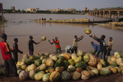 joepenney: niamey, niger, september 2013. © joe penney/reuters
