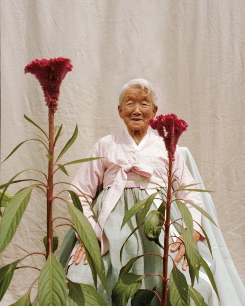 dionyxus:  thinking about this korean grandma series from vogue