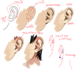 kelpls:  UMM PEOPLE ASKED ABOUT NOSES AND EARS SO YEAH!!  please