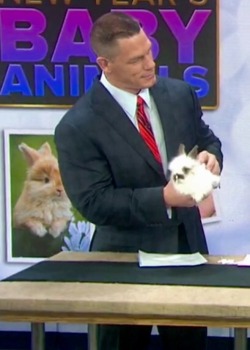 unstablexbalor:  Everyone needs John Cena holding a baby rabbit