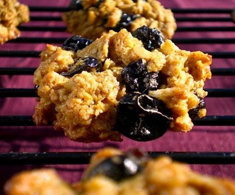 Blueberry Coconut Oaties