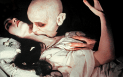 classykittenn:  “The absence of love is the most abject pain.” Nosferatu